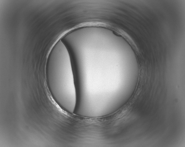 X0000078840852200611130956