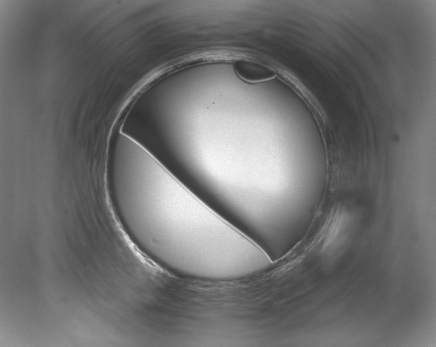 X0000078840853200611130956