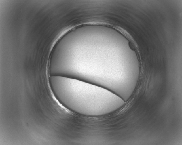 X0000078840855200611130956