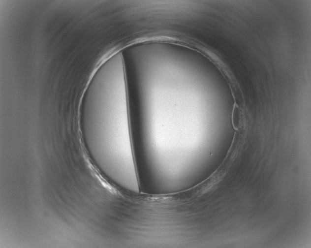 X0000078840858200611130956