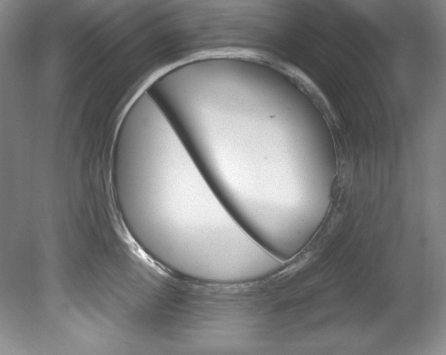X0000078840860200611130956