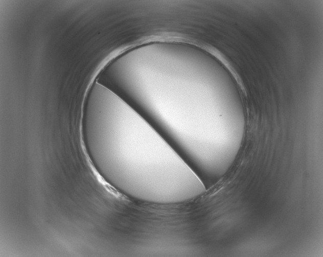 X0000078840861200611130956