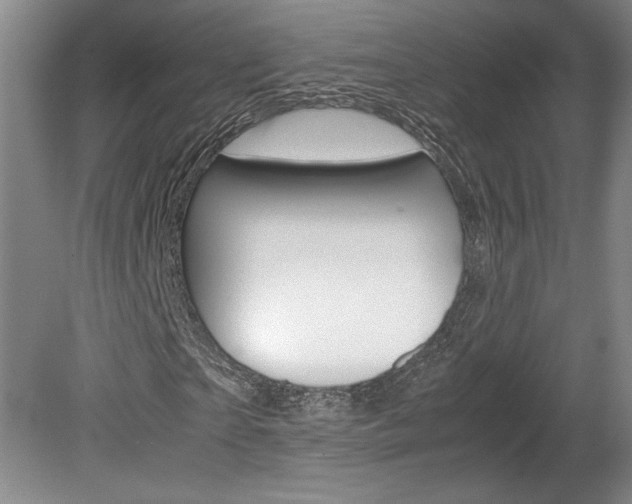 X0000078840865200611130955