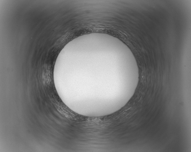 X0000078840866200611130955