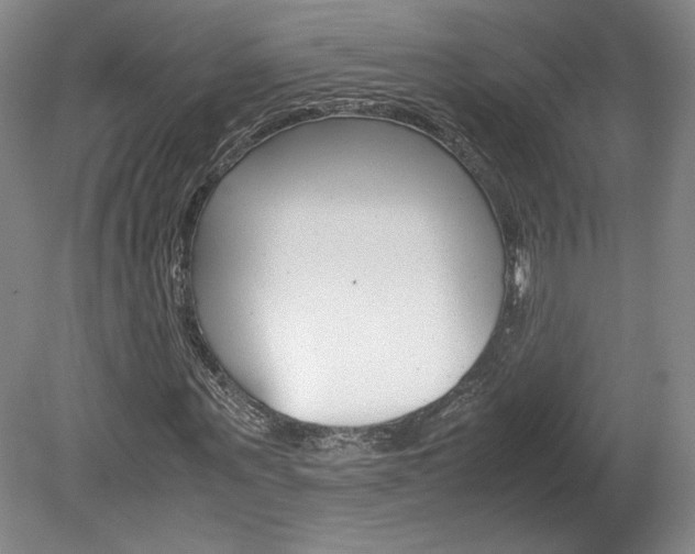 X0000078840867200611130955