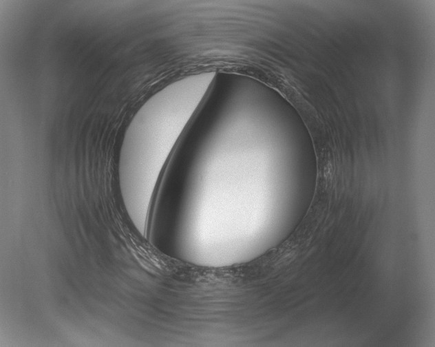X0000078840868200611130955