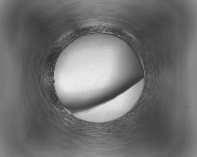 X0000078840869200611130955