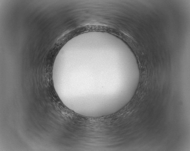 X0000078840870200611130955