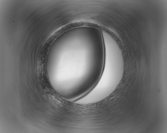 X0000078840872200611130955