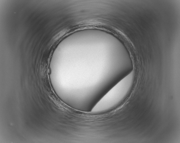X0000078840873200611130955