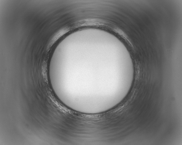X0000078840874200611130955