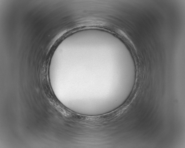 X0000078840875200611130955