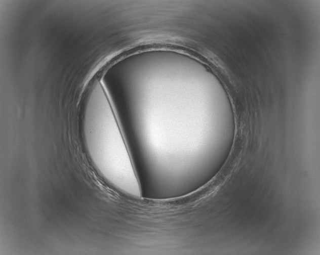 X0000078840877200611130955