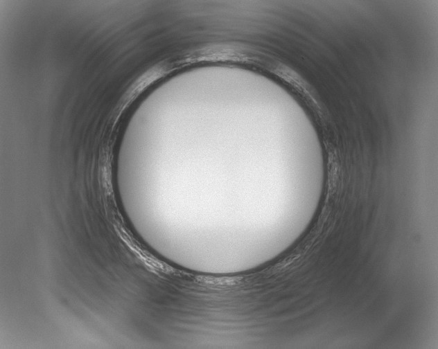 X0000078840882200611130955