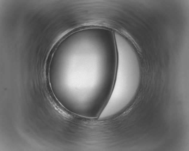 X0000078840884200611130955