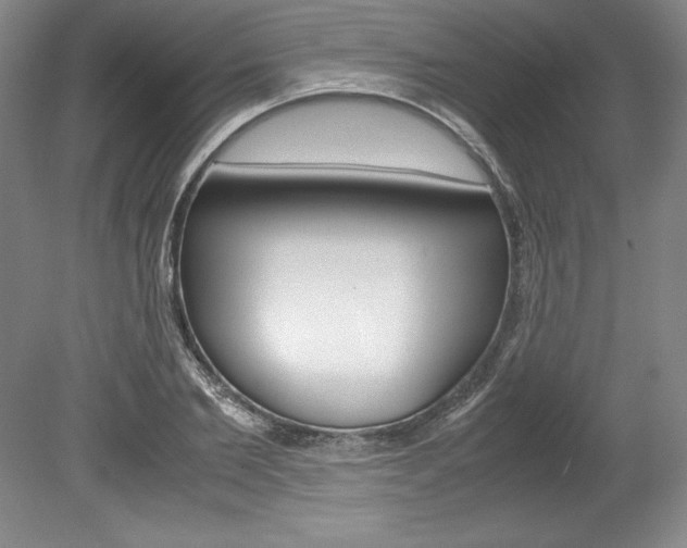 X0000078840885200611130955