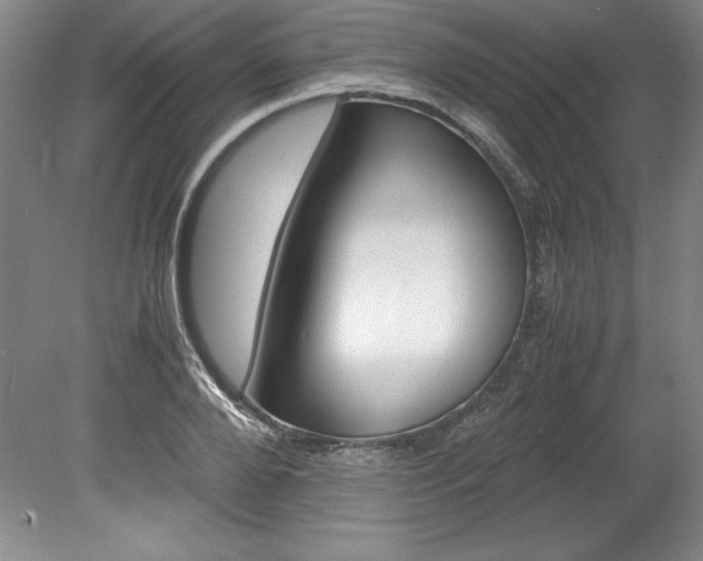 X0000078840888200611130955