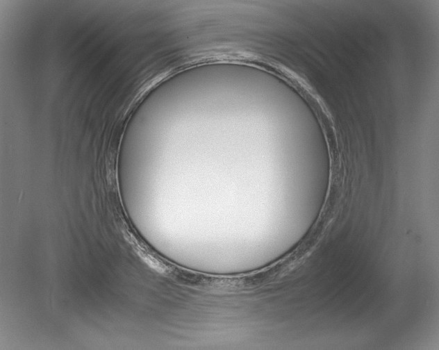 X0000078840889200611130955
