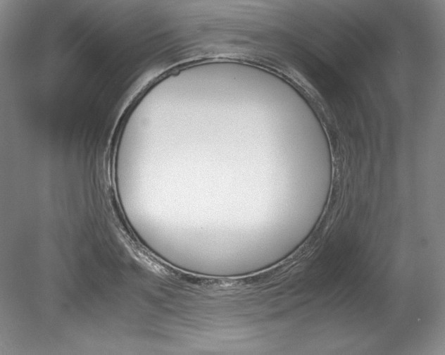 X0000078840891200611130955