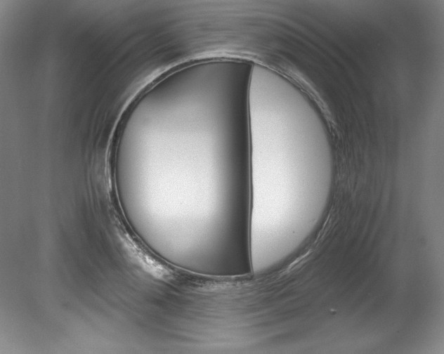 X0000078840892200611130955