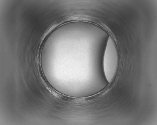 X0000078840893200611130955