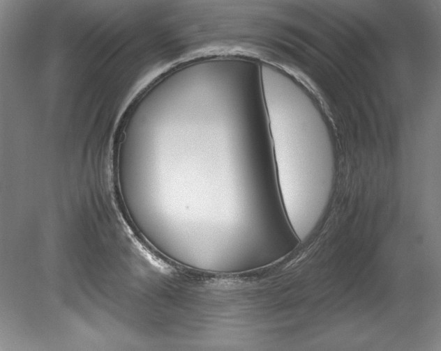 X0000078840894200611130955