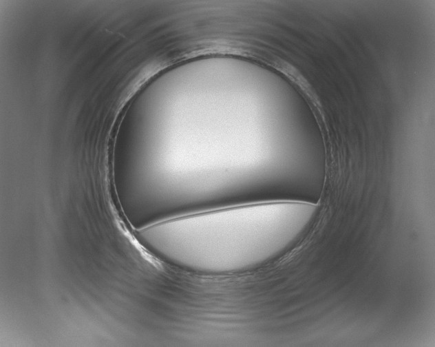X0000078840898200611130955