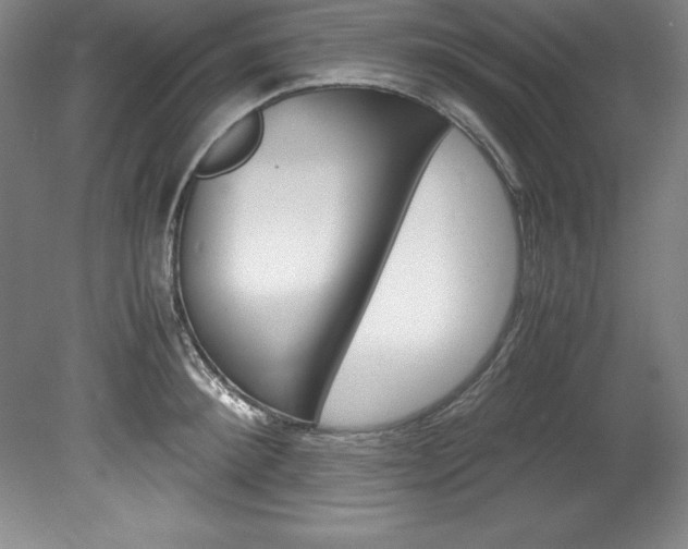 X0000078840900200611130954