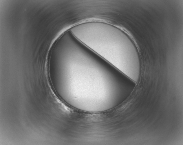 X0000078840902200611130954