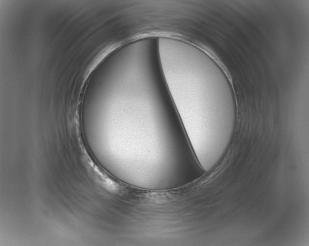 X0000078840906200611130954