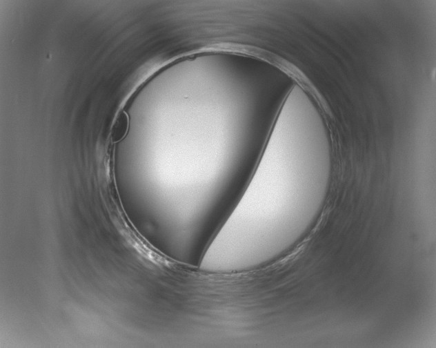 X0000078840908200611130954