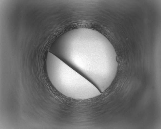 X0000078840913200611130953