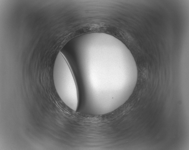X0000078840914200611130953