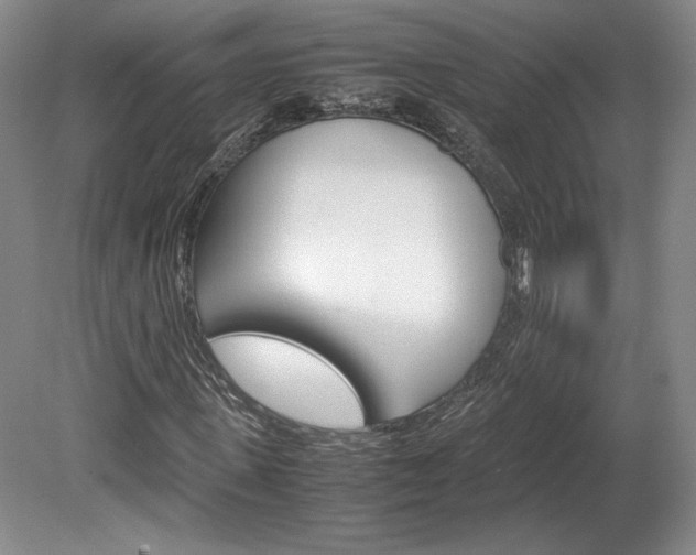 X0000078840915200611130953