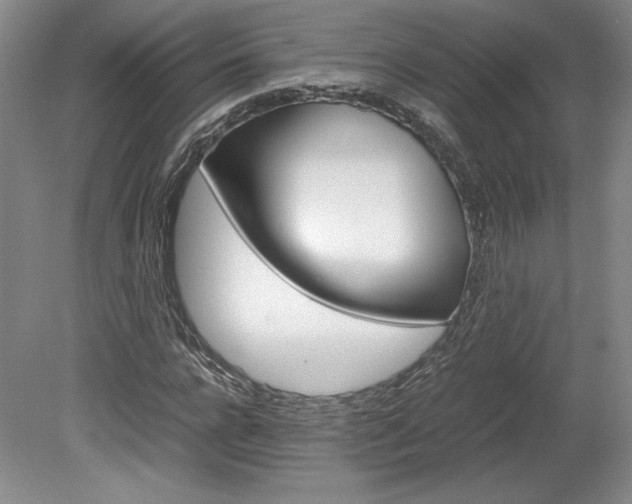 X0000078840920200611130954