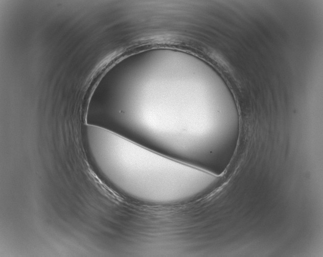 X0000078840930200611130954