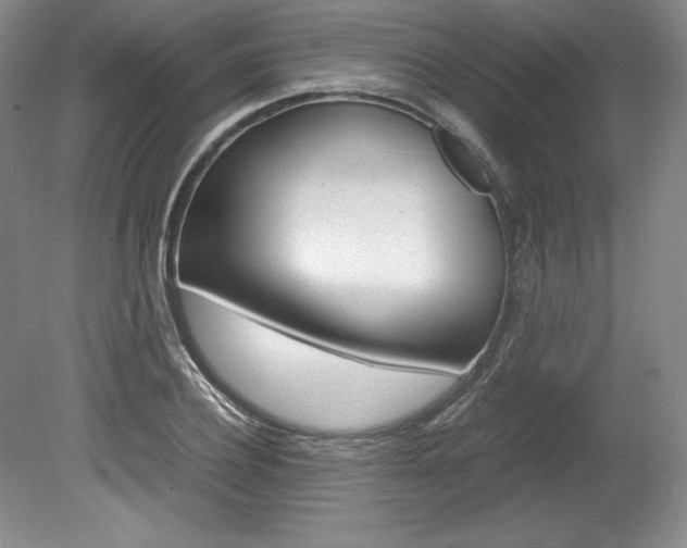 X0000078840932200611130954