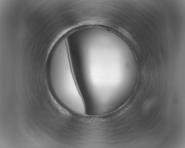 X0000078840934200611130954
