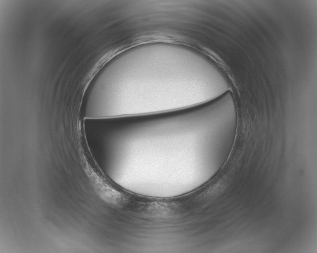 X0000078840938200611130954