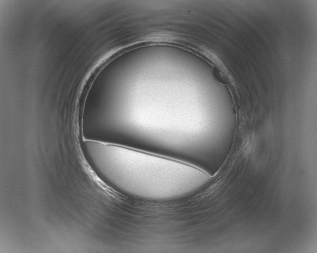 X0000078840939200611130954