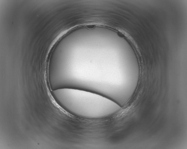 X0000078840941200611130954