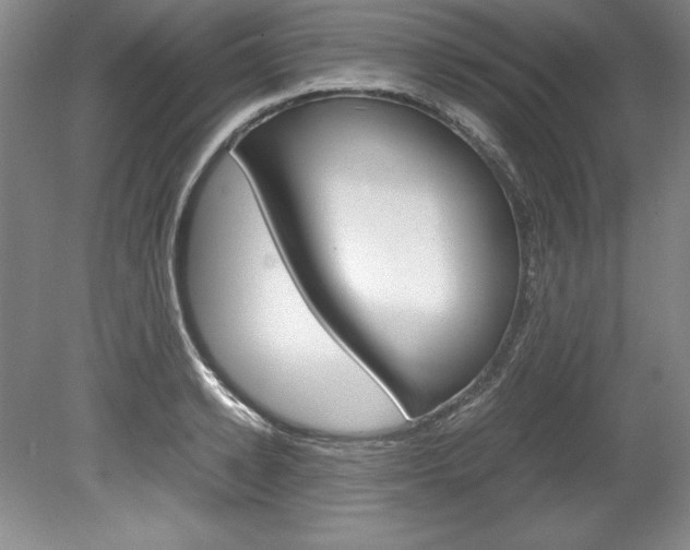 X0000078840942200611130954