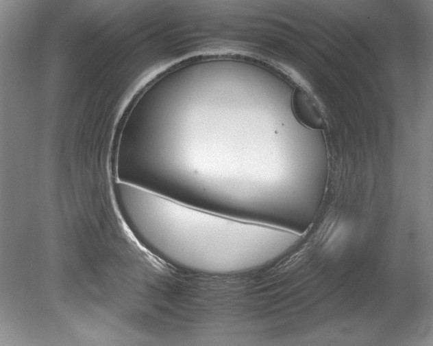 X0000078840943200611130954