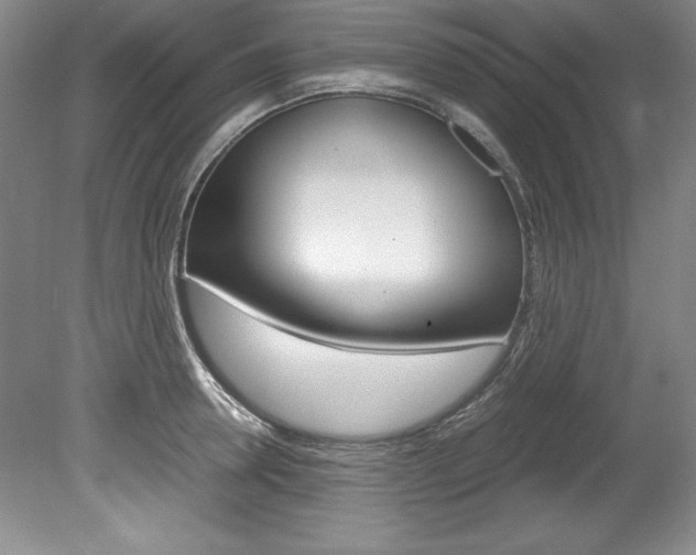 X0000078840946200611130954
