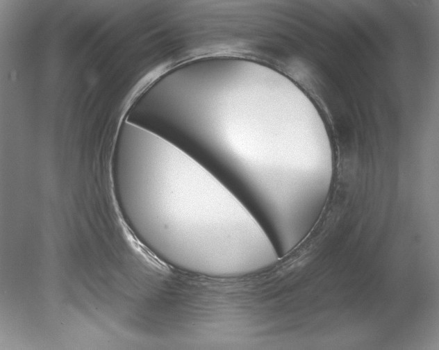 X0000078840954200611130954
