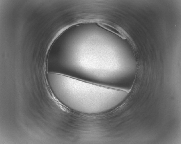 X0000078840956200611130954