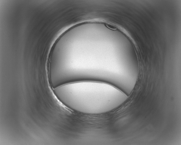 X0000078840959200611130954