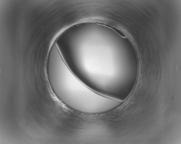 X0000078840960200611130954