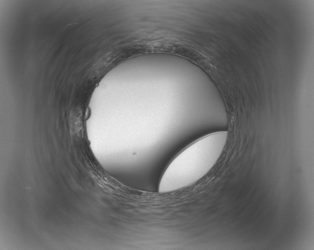 X0000078840963200611130953