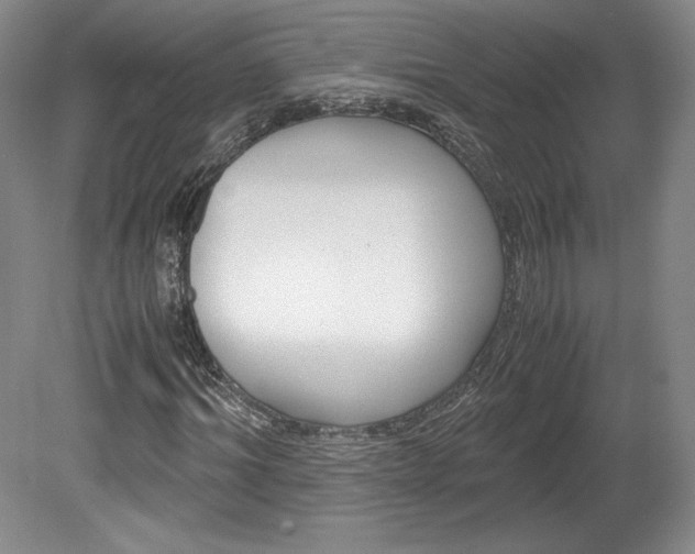 X0000078840964200611130953